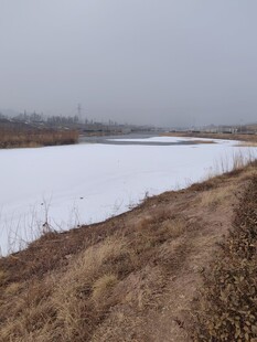 冬日冰封河岸景观