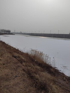 冬日冰封河岸景象