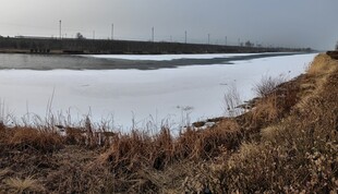 冬日冰封河岸景观