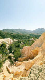 山
