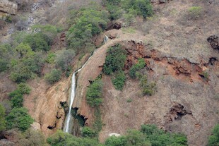 山间瀑布旁的野生动物群