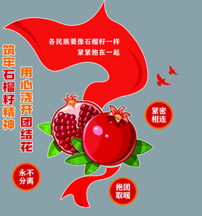 石榴籽抱团结 共筑中国梦