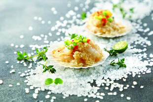 精致扇贝美食摆盘