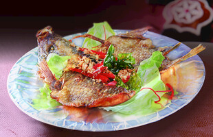 美味凉拌牛肉摆盘精致