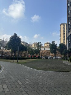 城市中的开阔广场景观