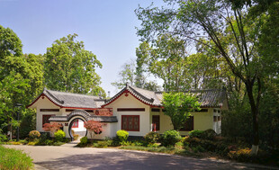 中式庭院绿树环绕的居所