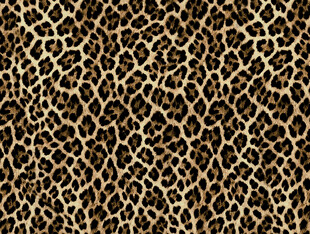 豹纹图案纹理背景图