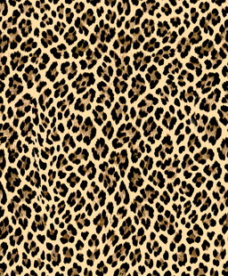 豹纹图案纹理