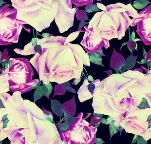 梦幻粉白玫瑰花海