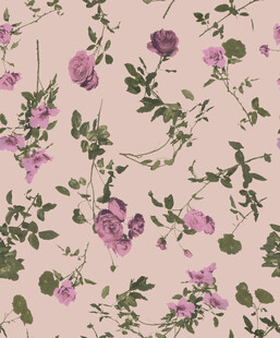 粉色花卉植物图案背景