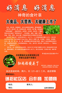 大食品大健康优惠上线啦