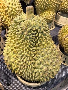 新鲜饱满的榴莲陈列展示