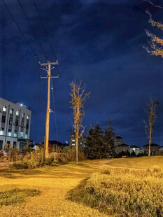 夜幕下的户外静谧场景