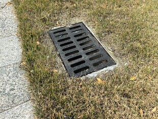 草地上的金属排水篦子
