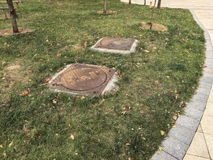 草坪中的方形与圆形井盖