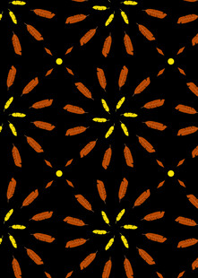 黑色背景上的几何花纹图案