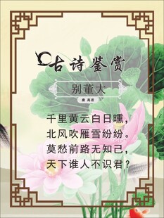 古诗鉴赏之经典诗句展示