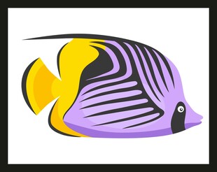 彩色条纹神仙鱼插画