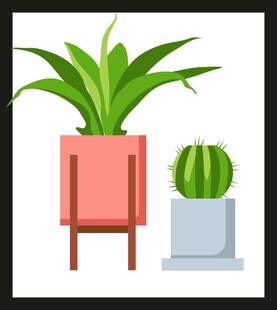 室内绿植装饰摆件