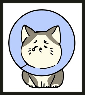 戴伊丽莎白圈的委屈猫咪