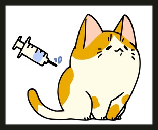 猫咪面对注射器的紧张瞬间