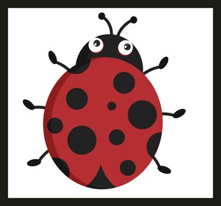 可爱卡通瓢虫形象