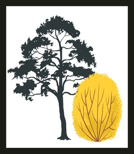 树影与秋黄的简约景致