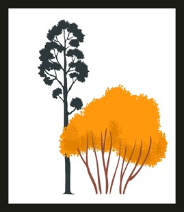 秋日树木插画