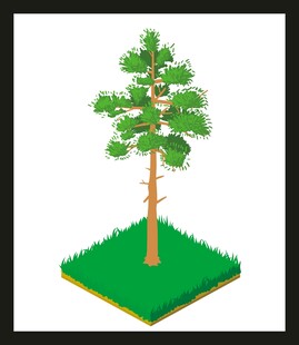 等距风格单棵绿树模型