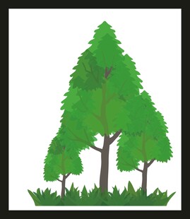 三棵绿树与草地景观