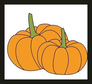 两个橙色南瓜插画