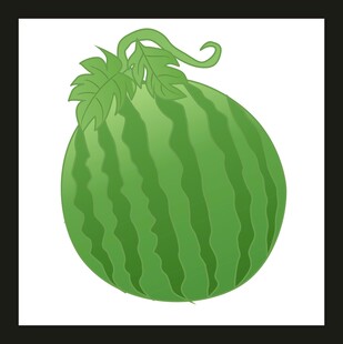 卡通风格圆滚滚的大西瓜