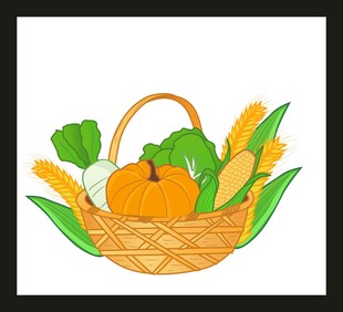 丰收蔬果篮
