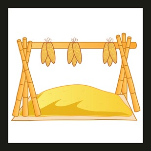 晾晒玉米的简易木架场景