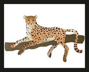 猎豹趴于树枝休憩