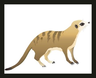 可爱条纹猫鼬插画形象