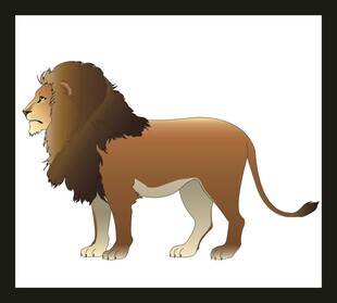 站立雄狮插画