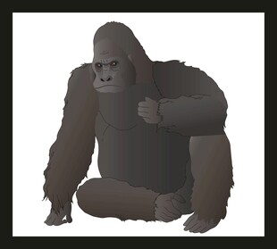 坐着的大猩猩插画