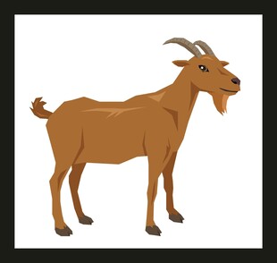 站立的棕色山羊插画