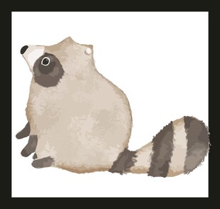 可爱浣熊水彩插画
