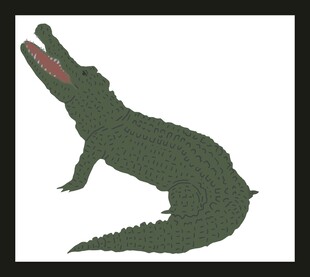 站立的绿色鳄鱼插画