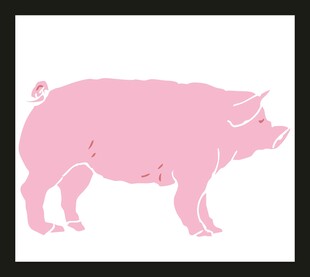 粉色简约风格站立猪图案
