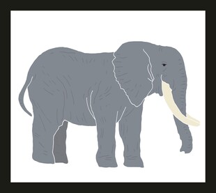 简约风格站立大象插画
