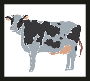 黑白花奶牛插画