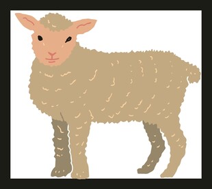 可爱小羊插画