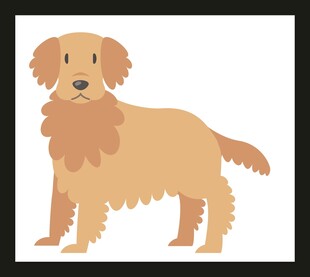 站立的金毛犬插画