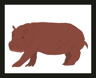 简约风格河马插画