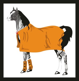 穿橙色衣物的骏马