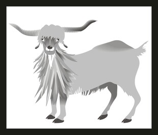站立的长角山羊插画
