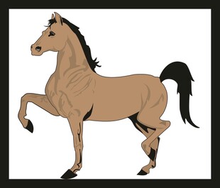 站立的棕色骏马